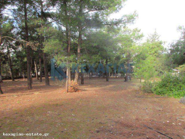 ΕΞΩΤΕΡΙΚΗ ΛΗΨΗ