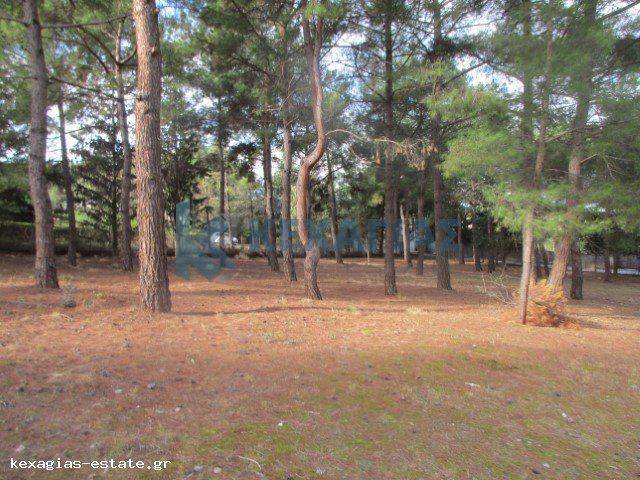 ΕΞΩΤΕΡΙΚΗ ΛΗΨΗ