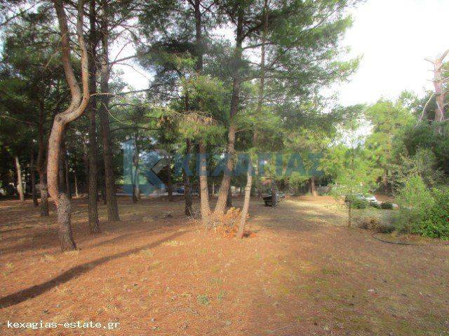 ΕΞΩΤΕΡΙΚΗ ΛΗΨΗ