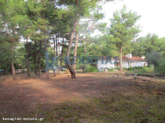 ΕΞΩΤΕΡΙΚΗ ΛΗΨΗ