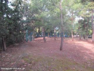 ΕΞΩΤΕΡΙΚΗ ΛΗΨΗ