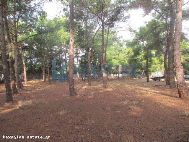 ΕΞΩΤΕΡΙΚΗ ΛΗΨΗ