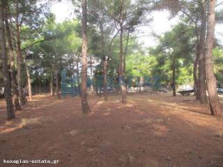 ΕΞΩΤΕΡΙΚΗ ΛΗΨΗ