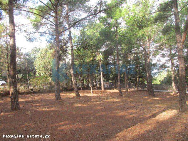 ΕΞΩΤΕΡΙΚΗ ΛΗΨΗ