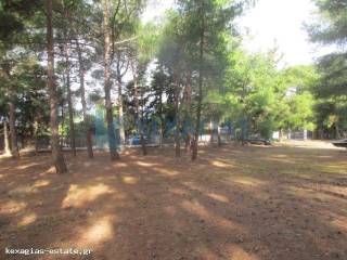 ΕΞΩΤΕΡΙΚΗ ΛΗΨΗ