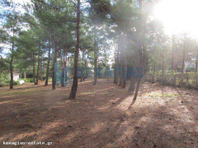 ΕΞΩΤΕΡΙΚΗ ΛΗΨΗ