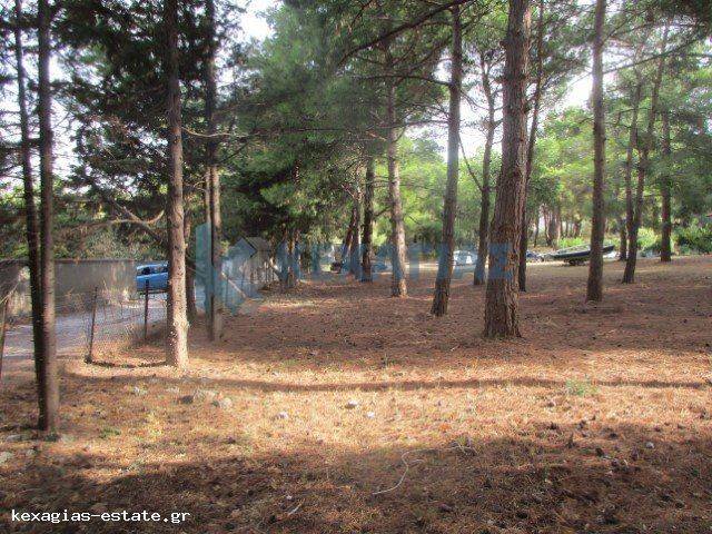 ΕΞΩΤΕΡΙΚΗ ΛΗΨΗ