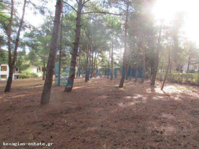 ΕΞΩΤΕΡΙΚΗ ΛΗΨΗ