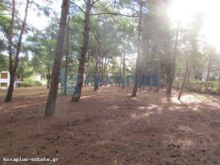 ΕΞΩΤΕΡΙΚΗ ΛΗΨΗ