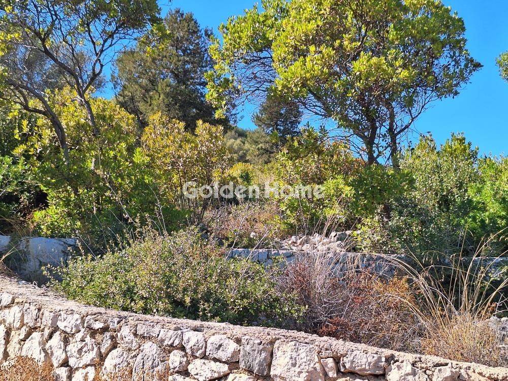 Κυρίως Χώρος