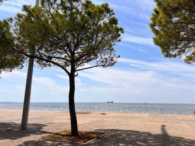 Θέα από μπαλκόνι