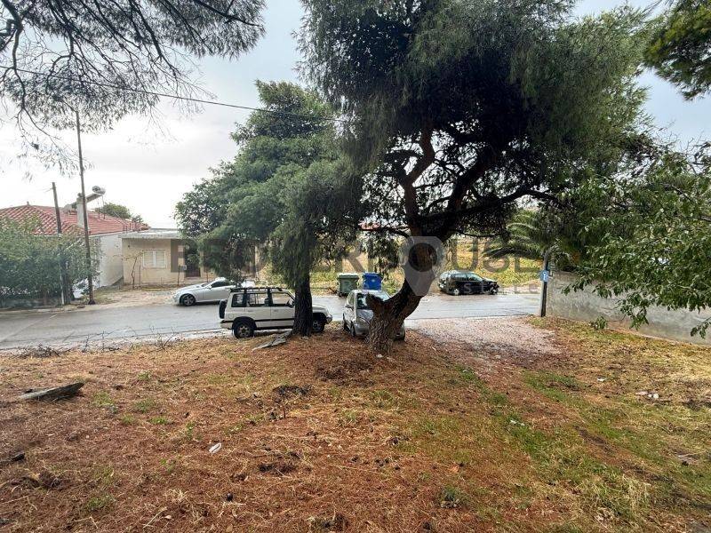 Εξωτερικός χώρος