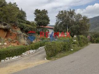 Ύπαρξη ανθρώπου