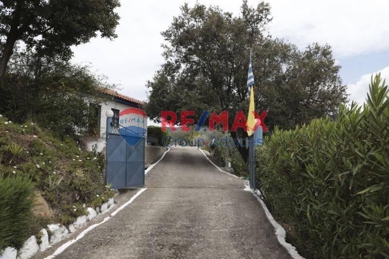 Ύπαρξη ανθρώπου