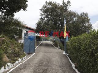 Ύπαρξη ανθρώπου