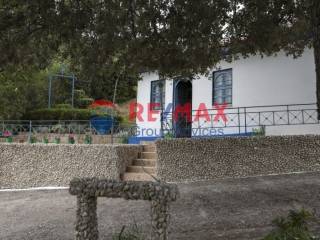 Ύπαρξη ανθρώπου