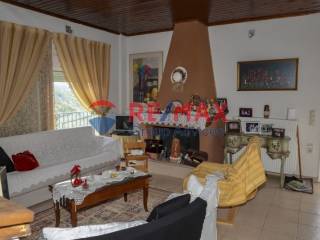 Ύπαρξη ανθρώπου