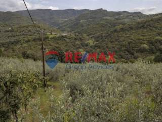 Ύπαρξη ανθρώπου