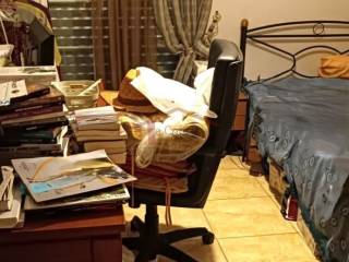 Ύπαρξη ανθρώπου