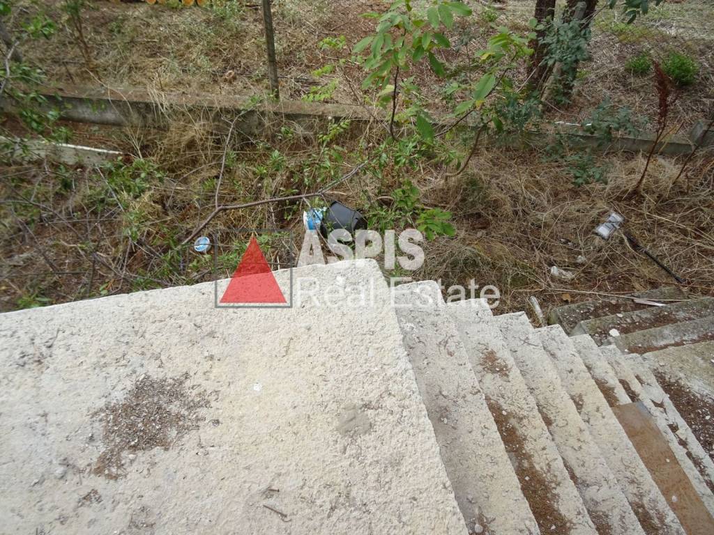 Εξωτερικοι χώροι