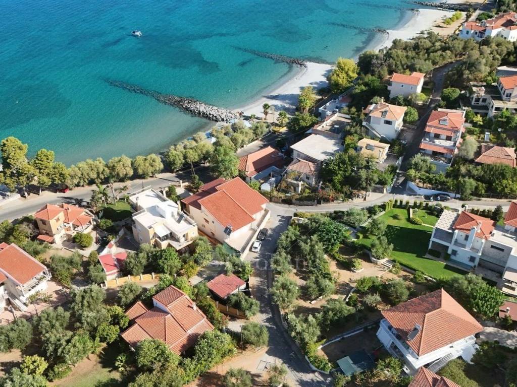 Ύπαρξη ανθρώπου