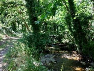 Αξιοθέατα της περιοχής