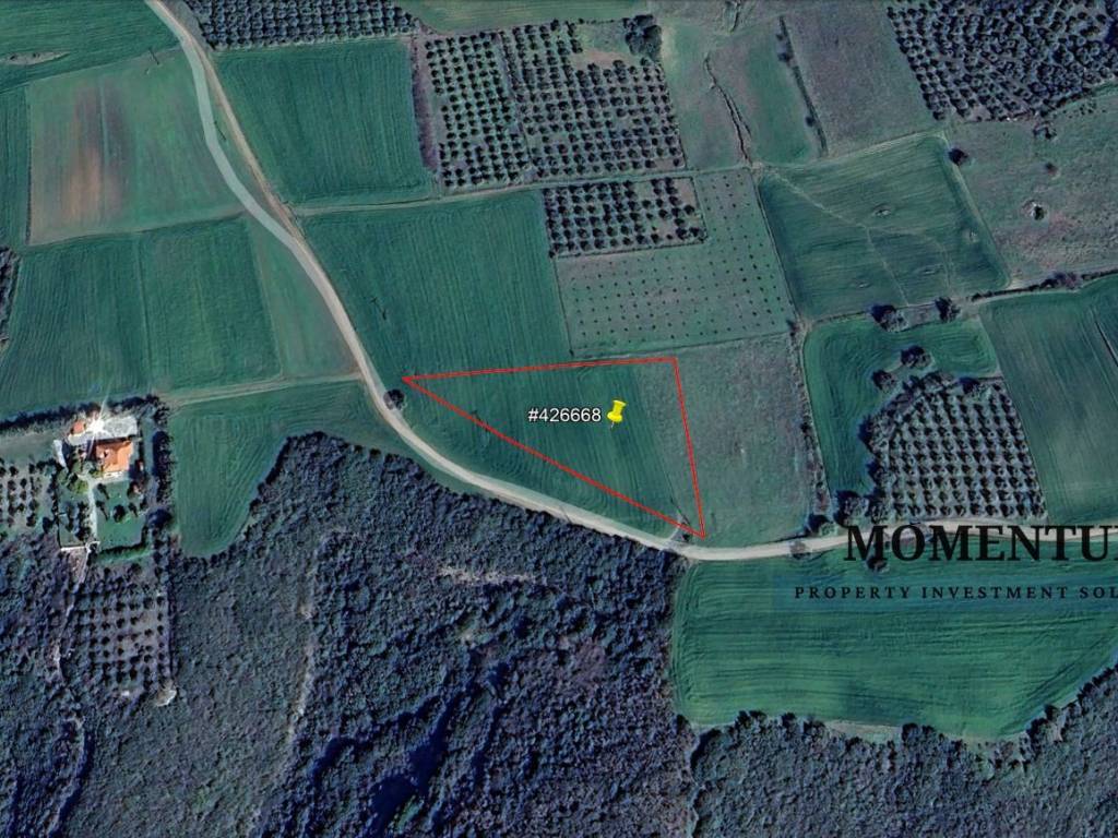 Εξωτερικοι χώροι