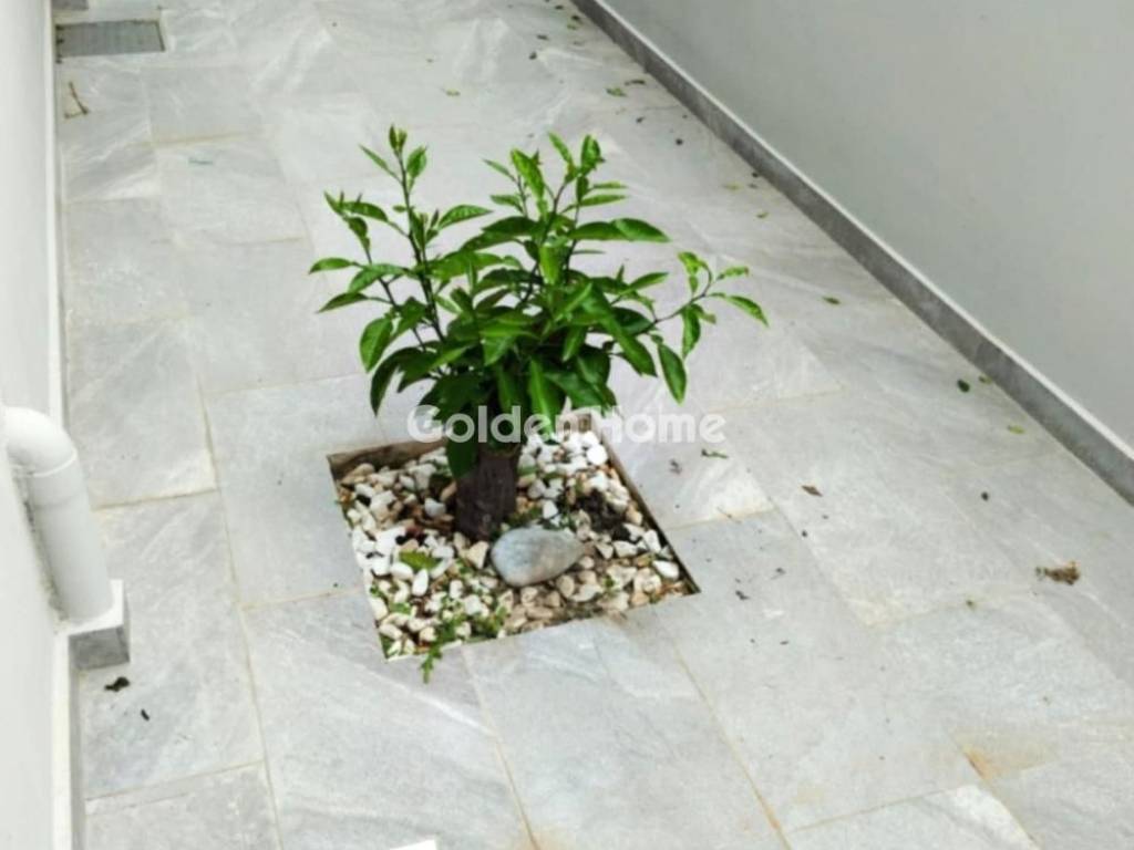 Εξωτερικός Χώρος