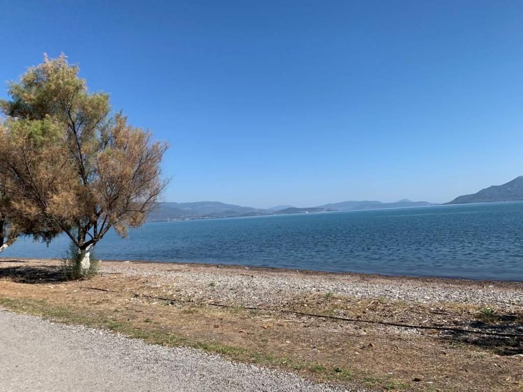 detached house of 220 sq m on two levels on its own plot of