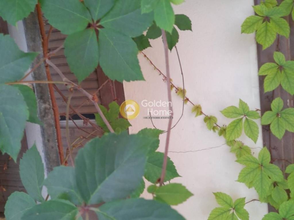 Κυρίως Χώρος