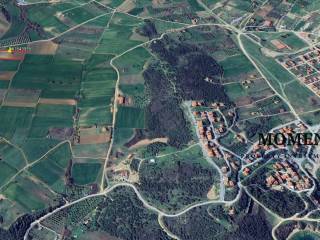 Εξωτερικοι χώροι