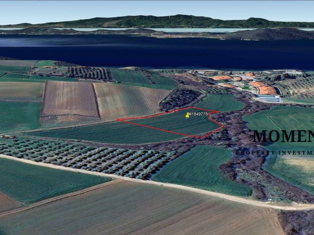 Εξωτερικοι χώροι