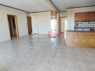 Σαλοκουζίνα