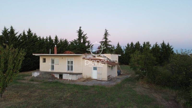 Εξωτερικός χώρος