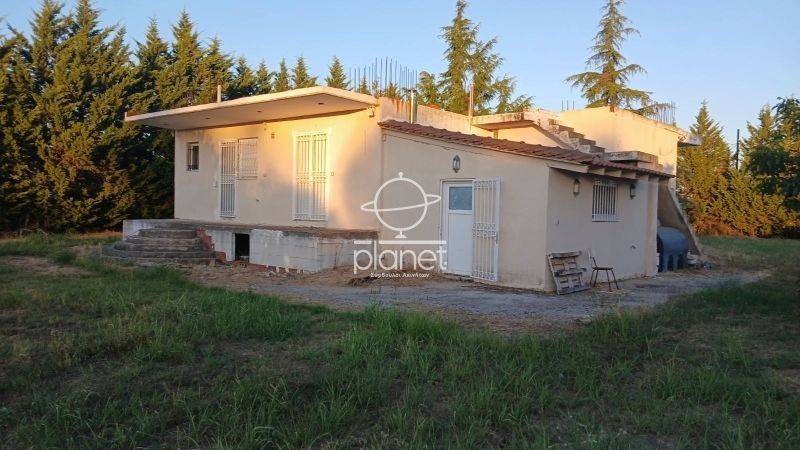 Εξωτερικός χώρος