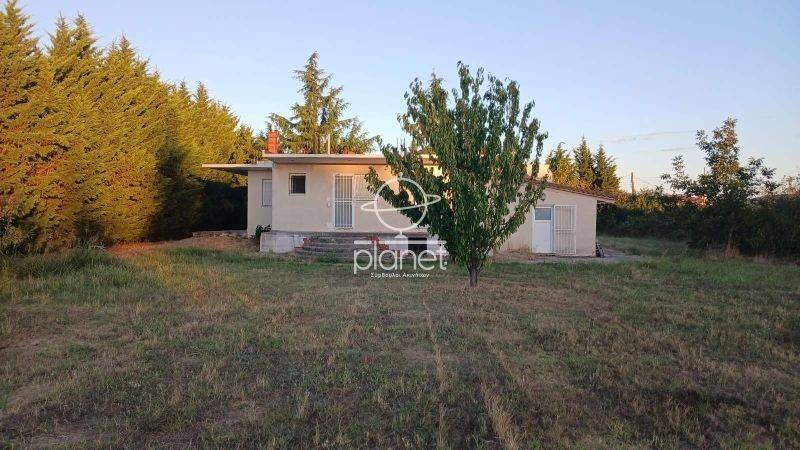 Εξωτερικός χώρος