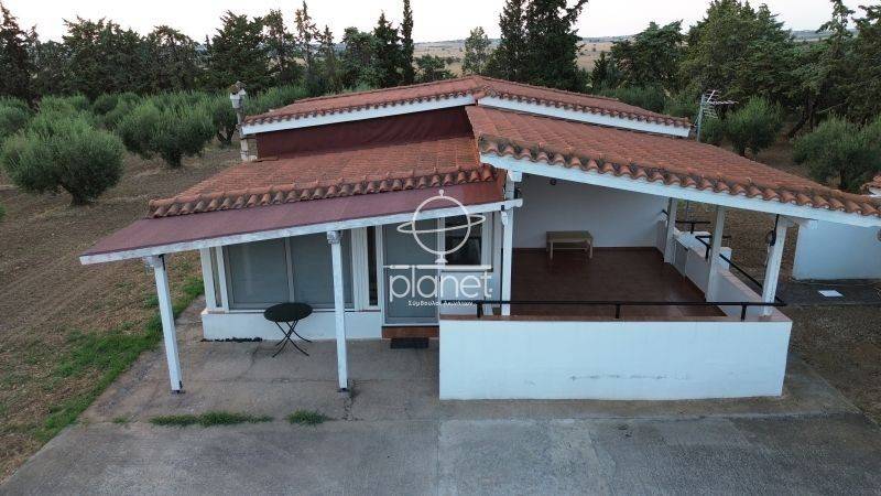 Εξωτερικός χώρος