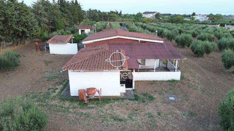 Εξωτερικός χώρος