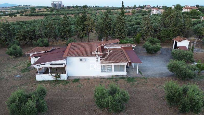 Εξωτερικός χώρος