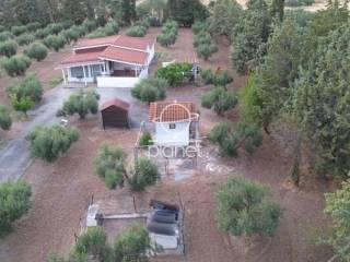 Ύπαρξη ανθρώπου