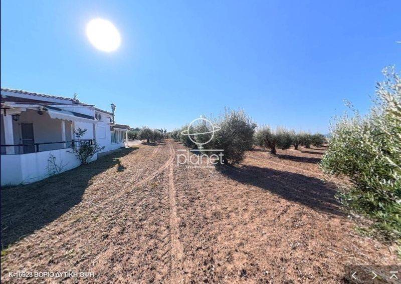 Εξωτερικός χώρος