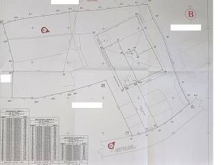Survey diagram of the property