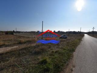 Ύπαρξη ανθρώπου