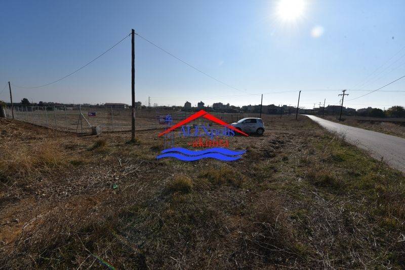 Ύπαρξη ανθρώπου