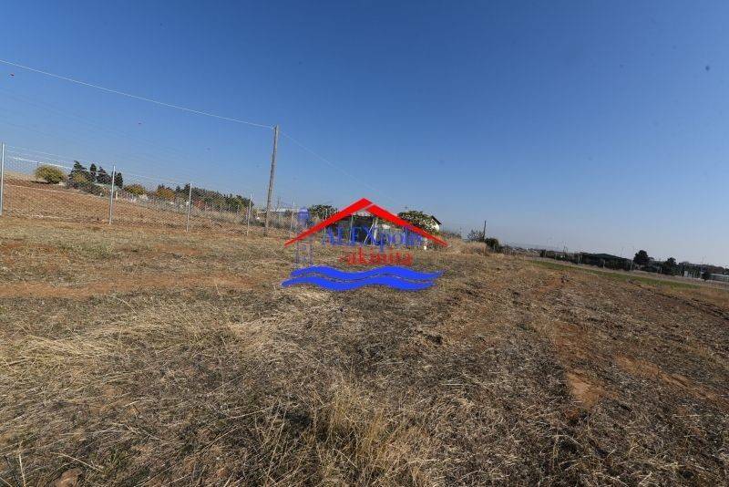 Ύπαρξη ανθρώπου