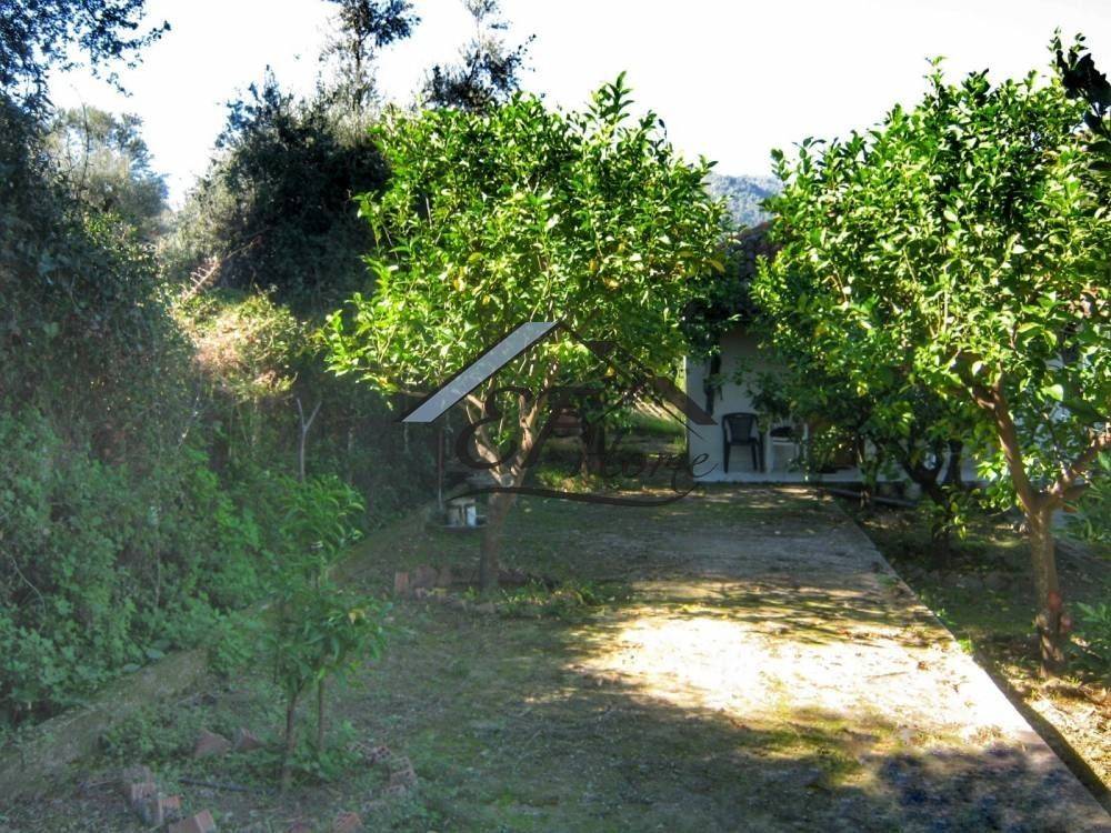 Άποψη οικοπέδου