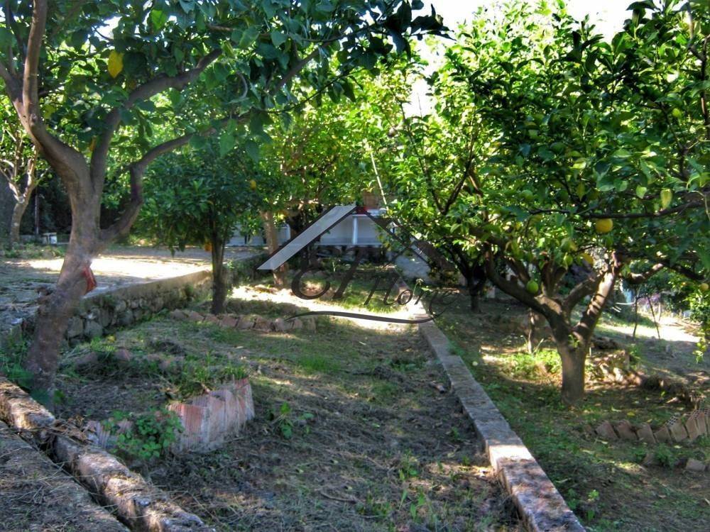 Άποψη οικοπέδου