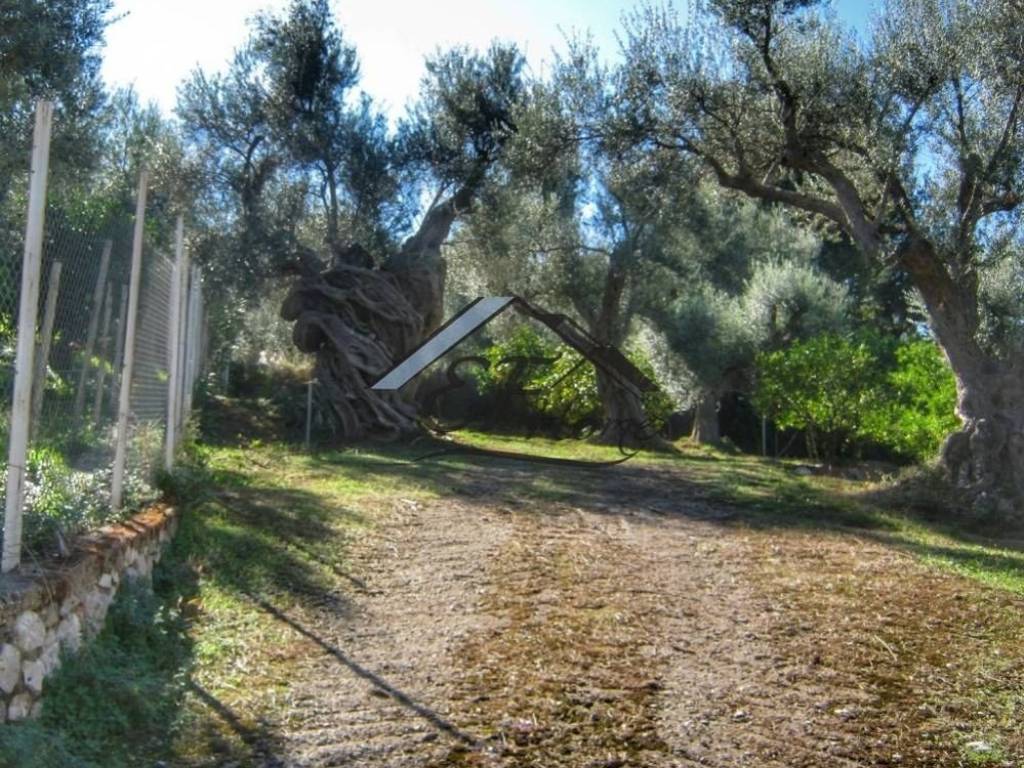 Άποψη οικοπέδου