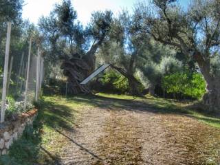 Άποψη οικοπέδου