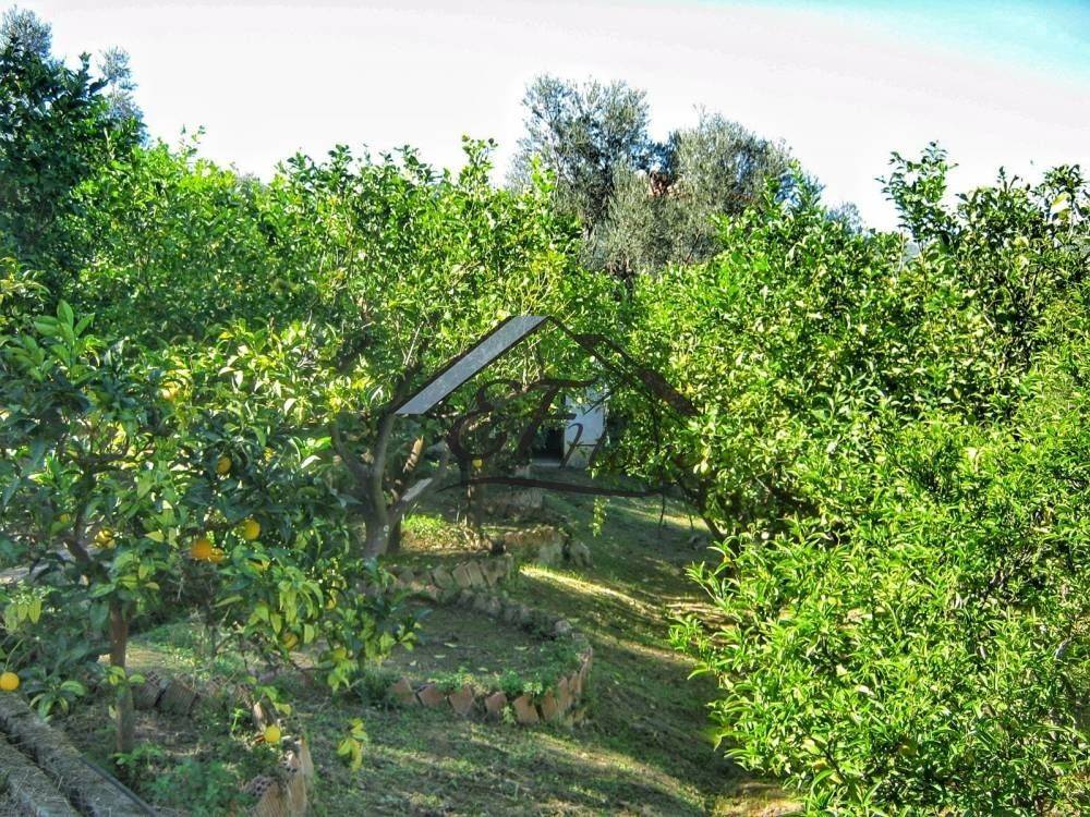 Άποψη οικοπέδου